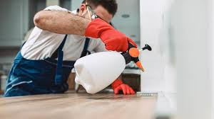 Professional Pest Control in Pleasant Hill, MS